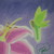 :iconvanity-letter:
