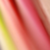 :iconvanityphotos: