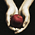 :iconvanityshot: