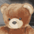 :iconVanlectter:
