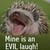 :iconvanwiem: