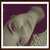 :iconvanya13: