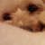 :iconvanyg96:
