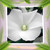 VanyTif23 :iconvanytif23: