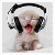 :iconvanzor: