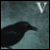Vappu :iconvappu: