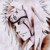 :iconvarisecudo:
