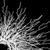 :iconvaristal-aliva: