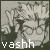 :iconvashh: