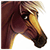 Vaynese :iconvaynese: