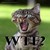 :iconvbag: