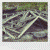 :iconvbphoto: