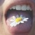 :iconvbruderphotography1: