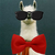 :iconvdeal:
