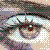 :iconVe-vA-LA-VeStA: