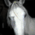 :iconve2mrx: