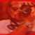 :iconvecky2901: