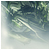 :iconveclor: