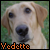 :iconvedettefp: