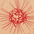 :iconvee-designs: