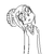 :iconvega-bond:
