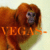 :iconvegas-pixie-pop: