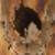 :iconvegeta777: