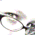 :iconvegetablefruitcake: