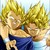 :iconvegetasawsome: