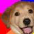 :iconvegex: