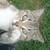 :iconveggievampire13: