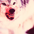 :iconvegitariandino: