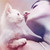 :iconvei-ne: