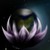 :iconvel-vel: