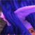 :iconvelika: