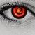 :iconvelleca: