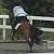 :iconvelocityranch: