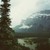 :iconvelvetassassin1619: