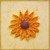 :iconvelvetleaves: