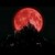 :iconvelvetmoonrose: