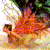 :iconvelvettotheeyes: