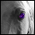 :iconvendeta-art: