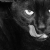 :iconvendisse: