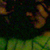 :iconvendrediisawiccan: