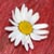 :iconvenefica84: