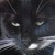 :iconvenful: