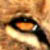 :iconvengefulnight: