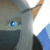 :iconvennarok: