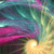 :iconvenom163rus: