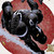 :iconvenom96:
